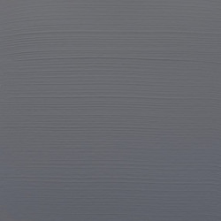 AAC 20ML GRIS NEUTRO 2