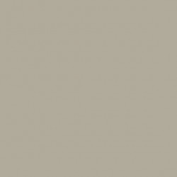 AAC SPRAY 400ML GRIS CALIDO 2