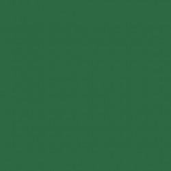 AAC SPRAY 400ML VERDE PERM.OSC 2