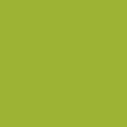 AAC SPRAY 400ML VERDE AMARIL. 2