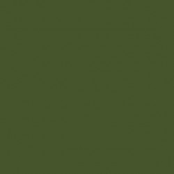 AAC SPRAY 400ML VERDE OLIVA OS 2