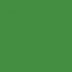 AAC SPRAY 400ML VERDE PERM.CL 2