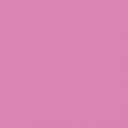 AAC SPRAY 400ML ROSA QUINA.CL 2