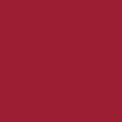 AAC SPRAY 400ML CARMIN 2