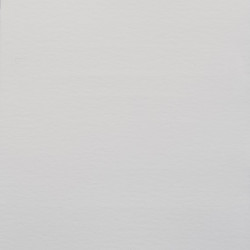 AAC TINTA 30ML BLANCO TITANIO 2