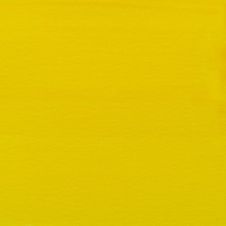 AAC TINTA 30ML AMARIL.PRIM 2