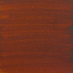 AAC TINTA 30ML T.SIENA TOST 2